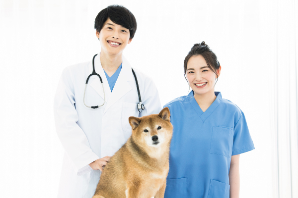 寵物診所助理基礎證書 - 就業掛鈎課程 - 港專職業訓練學院 - 即將開課